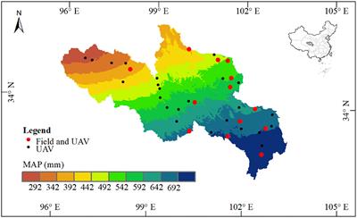 An Improved Method for Monitoring Multiscale Plant Species Diversity of Alpine Grassland Using UAV: A Case Study in the Source Region of the Yellow River, China